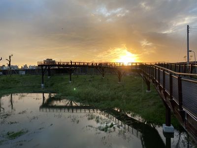 北市「雙溪濕地公園」啟用！制高點賞百萬夕陽、水中步道尋動植物