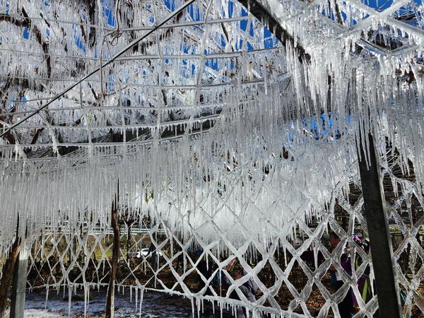 ▲▼武陵農場再現「水晶冰宮」。（圖／武陵農場提供）