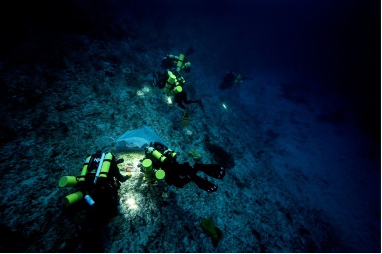 ▲▼             探索極地、守護深海珊瑚礁與遊牧資源！勞力士雄才偉略大獎新得主創下「環境保護」新高度。（圖／勞力士提供）