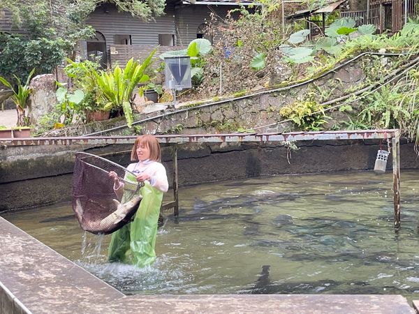 ▲王瞳《市井豪門》被惡整 7度穿青蛙裝下水進魚池工作。（圖／民視提供）