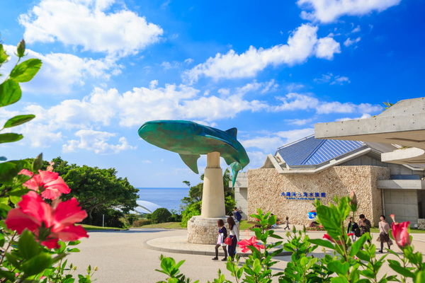 ▲▼沖繩美麗海水族館攻略。（圖／好好玩）