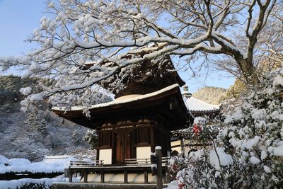 到日本跨年必做！京都5大寺院「除夕敲鐘」　還能到秘境寺院迎曙光