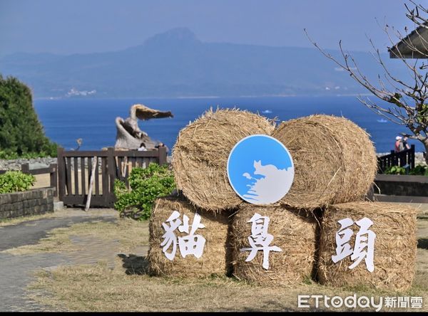 ▲墾管處會同貓鼻頭商家推動「靈貓仙動」活動             。（圖／墾管處提供，下同）