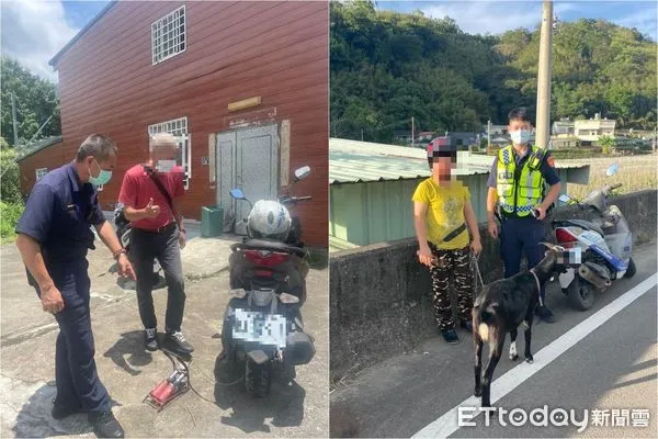 ▲▼苗栗大湖山區警察超忙，補輪、抓蛇、補羊、修車樣樣來。（圖／記者蔡文淵翻攝）