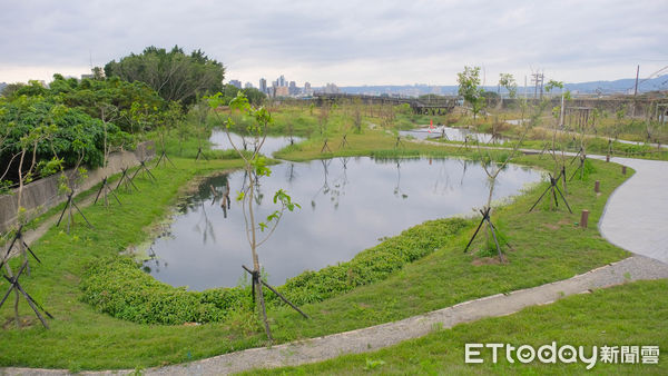 ▲「雙溪濕地公園」位於兒童新樂園對面。（圖／記者彭懷玉攝）