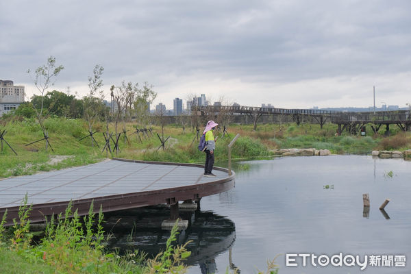 ▲「雙溪濕地公園」位於兒童新樂園對面。（圖／記者彭懷玉攝）