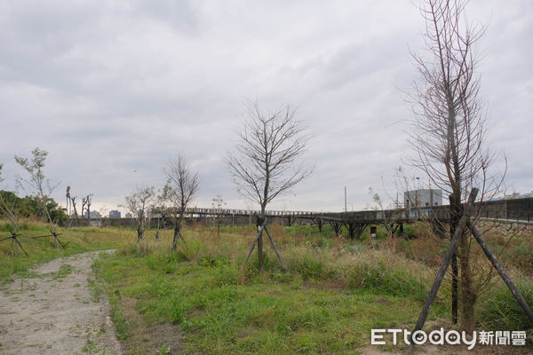 ▲「雙溪濕地公園」位於兒童新樂園對面。（圖／記者彭懷玉攝）