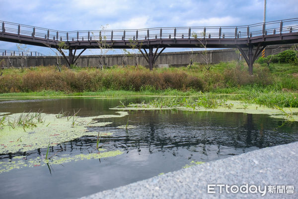 ▲「雙溪濕地公園」位於兒童新樂園對面。（圖／記者彭懷玉攝）