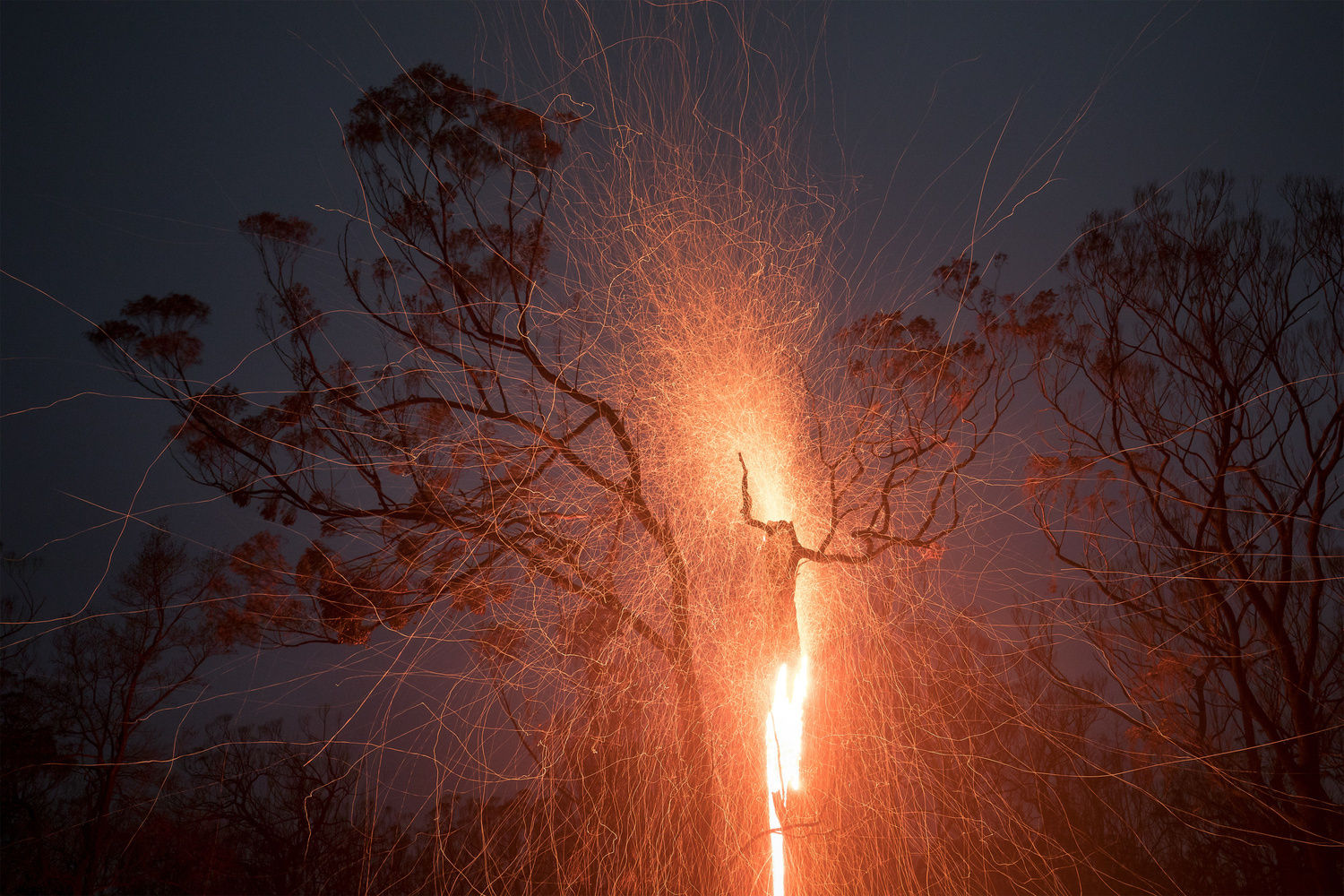 ▲2022國際自然景觀獎出爐。（圖／翻攝「Natural Landscape Photography Awards」）