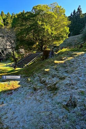 ▲▼阿里山近日結霜，景緻美不勝收。（圖／翻攝Facebook／漫步在雲端的阿里山）