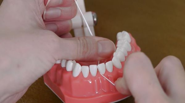 ▲▼牙醫師示範如何正確使用牙線。（圖／翻攝自《Dr.Grace》Youtube頻道）