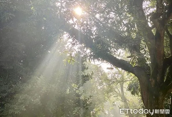 ▲台南山上花園水道博物館，最近在粉專貼出一張照片，陽光透過樹縫灑下，神聖靜謐感覺令人驚艷，吸引超過2萬名粉絲朝聖，上千名粉絲按讚。（圖／記者林悅翻攝，下同）