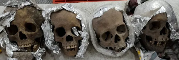 ▲▼墨西哥快遞包裹驚見4顆人類頭骨。（圖／路透）