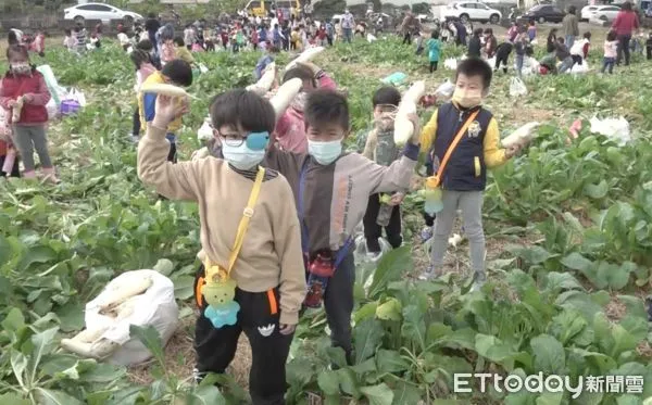 ▲斗六一處蘿蔔田擠滿了幼童，原來是田主在裡作期間種植白蘿蔔，收成時邀請附近幼兒園學童進行農村體驗。（圖／記者蔡佩旻翻攝）