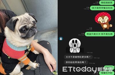 貪吃汪不吃飯擔心生病了 媽摸肚子得知「爆笑真相」笑:被騙了