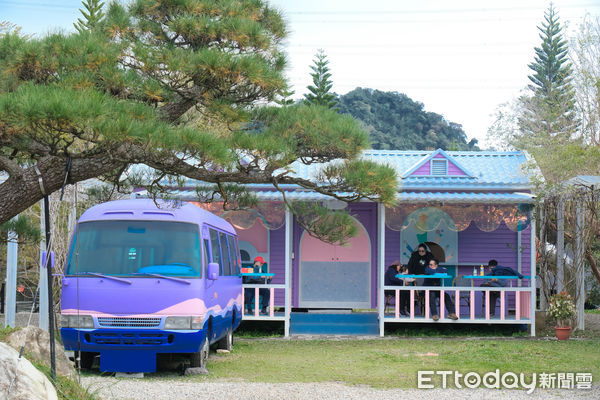 ▲蘇家莊園,大溪旅遊,瓦萊黑鼻羊,羊駝。（圖／記者彭懷玉攝）