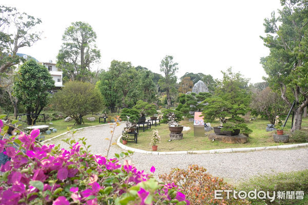 ▲蘇家莊園,大溪旅遊,瓦萊黑鼻羊,羊駝。（圖／記者彭懷玉攝）