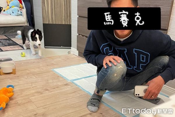 新北|言教不如身教！怕狗尿在地毯　爸親示範「定點棒賽」牠一旁看傻 | ETtoday寵物雲 | ETtoday新聞雲