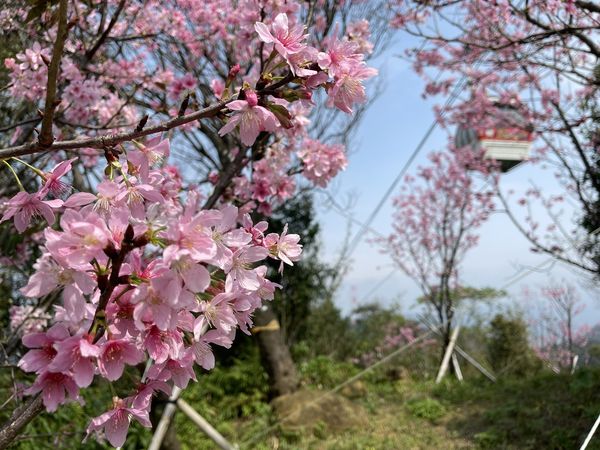 ▲▼圓山風景區。（圖／台北市政府工務局大地工程處提供）