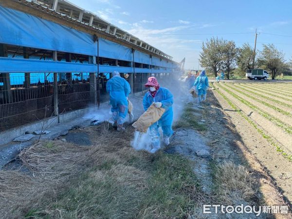 ▲雲林縣動植物防疫所依標準作業程序完成染疫禽場撲殺銷毀作業，並督導業者完成場區清潔及消毒工作。（圖／記者蔡佩旻翻攝）