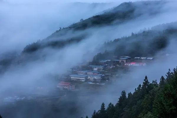 ▲▼太平山是春節暢遊好地方。（圖／羅東林管處共，下同）