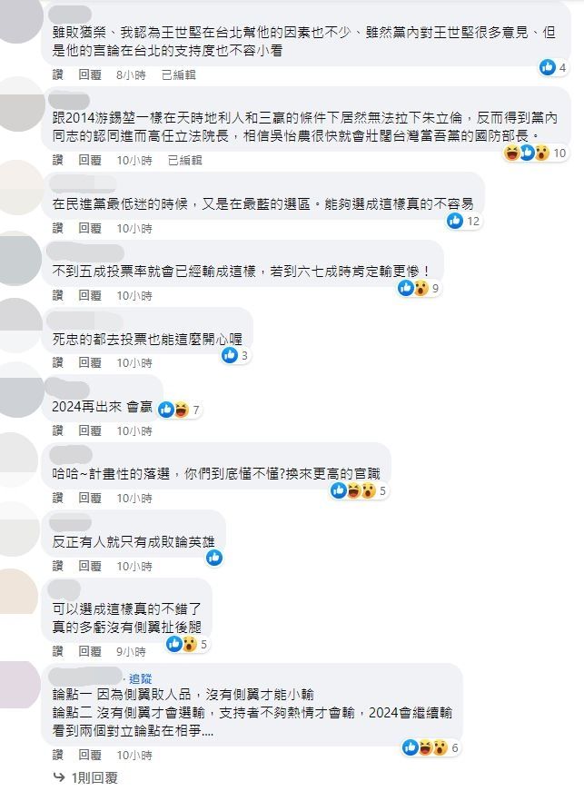 林濁水評吳怡農。（圖／翻攝自Facebook／林濁水）