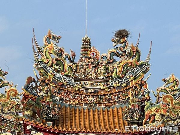 ▲▼喜鵲在苗栗五穀宮廟頂龍頭上築巢，廟方認為神威顯赫，是好兆頭。（圖／記者蔡文淵攝）