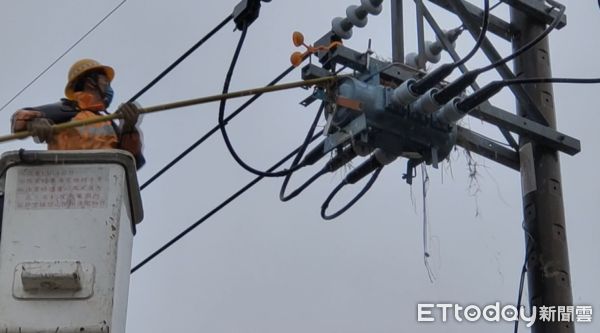 ▲▼喜鵲在高壓電桿上築巢，台電怕造成停電，還大費周章移除電桿上的鳥巢。（圖／記者蔡文淵攝）