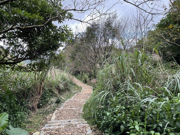 ▲▼ 水尾巴拉卡步道。（圖／台北市政府工務局大地工程處提供）