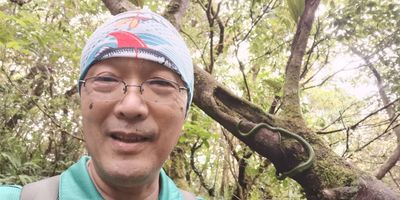 山友攀里龍山 巧遇「南台灣神獸」灰腹綠錦蛇...網讚:夢幻之蛇