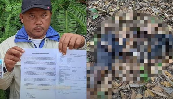 ▲▼馬來西亞一名男子為亡妻掃墓時，赫然發現妻子的遺體竟遭野熊啃食。（圖／翻攝自YouTube）