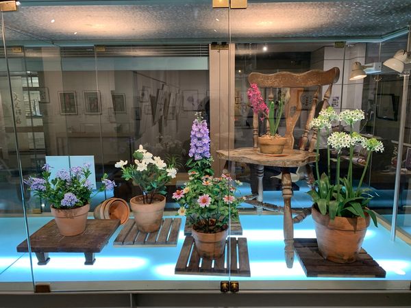 ▲成美藝廊展出植物特展。（圖／頂新和德文教基金會提供）