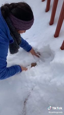 橘白貓上秒還在賞雪，下秒整隻不見。（圖／翻攝自Tiktok@catdogcody）