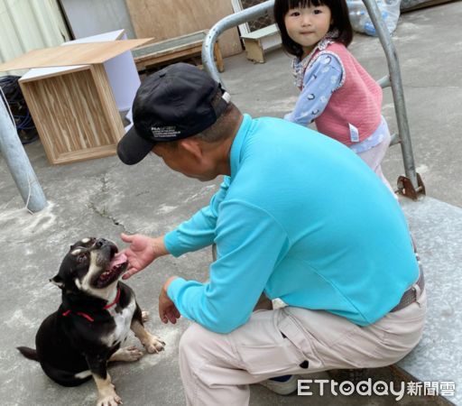 ▲愛犬天天去鄰居家報到「連女兒也淪陷」　媽崩潰：我的狗不回家了（圖／粉專「內有惡霸-小心被萌」提供，請勿隨意翻拍，以免侵權。）