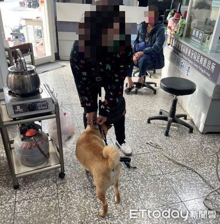 ▲柴犬回到飼主身旁             。（圖／記者陳崑福翻攝，下同）