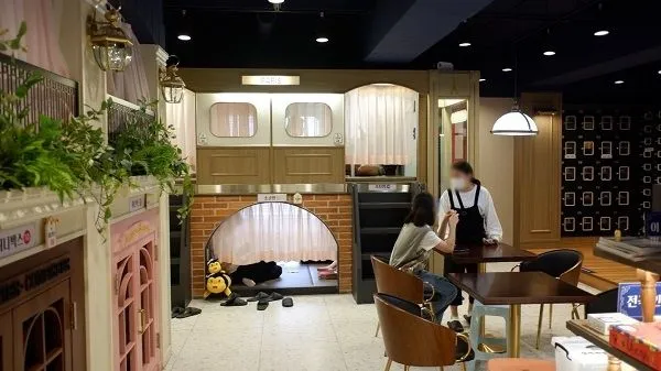 ▲▼南韓清州漫畫咖啡店有隔間，疑似男女學生發生性關係。（圖／翻攝自韓網）