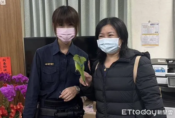 ▲台南市警二分局警方，幫助飛失的鸚鵡「豆皮」平安返家。（圖／記者林悅翻攝，下同）