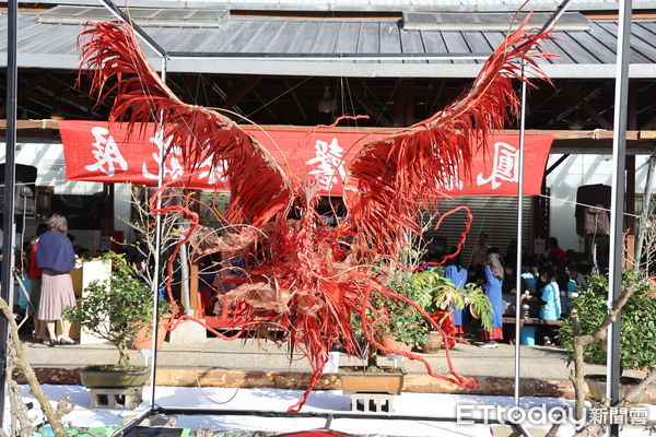 ▲鳳麓茶馨茶花展今日在台大實驗林鳳凰自然教育園區開幕。（圖／南投縣政府提供）