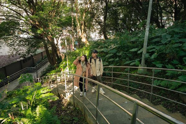 ▲新店安康森林公園 享受芬多精森林浴。（圖／新北市農業局提供）