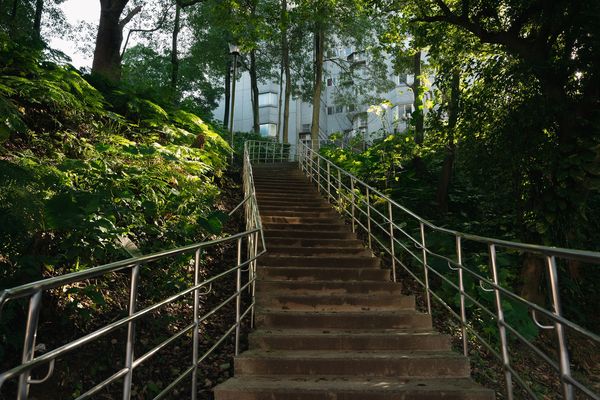 ▲新店安康森林公園 享受芬多精森林浴。（圖／新北市農業局提供）