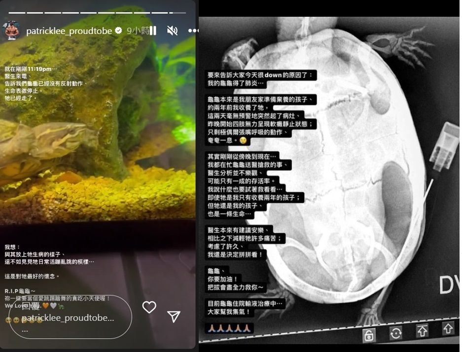 ▲李沛旭愛寵烏龜過世。（圖／翻攝自李沛旭IG）
