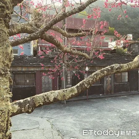 ▲「2023春遊霧臺系列活動」19日在阿禮部落頭目石板家屋廣場開幕            。（圖／記者陳崑福翻攝）