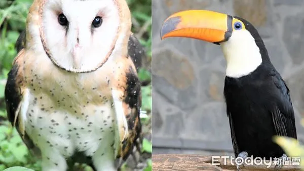 ▲▼科博館。（圖／國家自然科學博物館提供） 