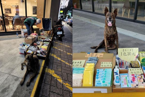 高雄也有一名原是流浪漢的阿伯，因為撿到狗狗決定租房並擺地攤維生。（翻攝自路上觀察學院）