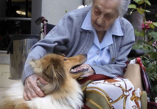▲▼115歲的西班牙老婦人莫雷拉可望成為世界上最長壽人瑞。（圖／翻攝自推特@Super Àvia Catalana）