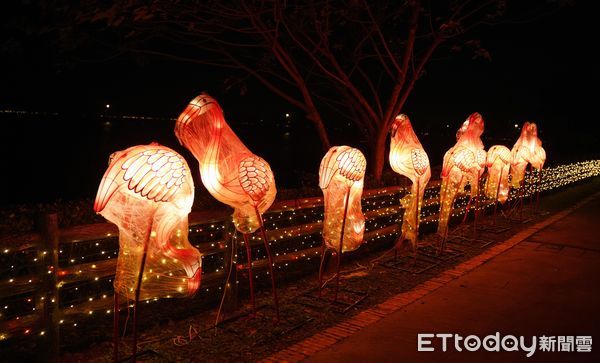 ▲桃園燈會中的「鶴新春」步道燈組也是特色之一。（圖／記者沈繼昌翻攝）