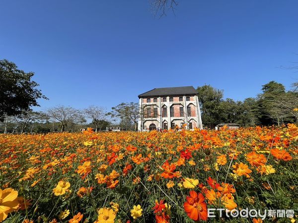 ▲台南山上花園水道博物館園區內，以及鄰近的冰點冷氣規劃大片花海，大年初一吸引大批走春人潮。（圖／記者林悅翻攝，下同）