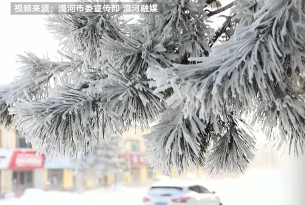 ▲▼  漠河打破歷史低溫，零下53度           。（圖／翻攝新京報、大興安嶺地區森林消防支隊漠河市大隊片段）