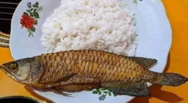 台灣|價值3萬「金龍魚」失蹤！印尼男翻家找嘸　見兒端出一盤煎魚崩潰 | ETtoday寵物雲&nbsp;| ETtoday新聞雲