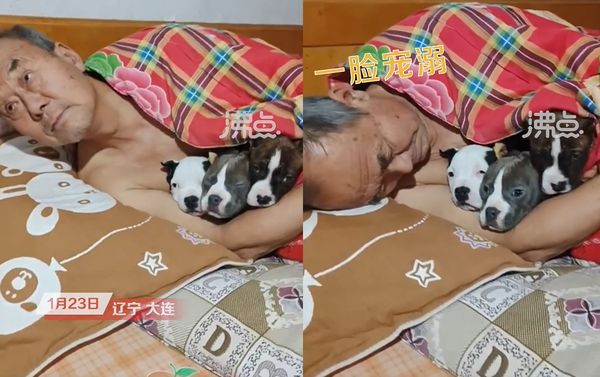 老人抱狗狗睡覺怕著涼。（圖／翻攝自微博@沸點視頻）